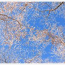 돈나라 - 서구 운천로184번길 11 | 돈나라