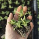 철원농약사 이미지