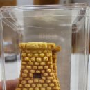 파리바게뜨 기장교리점 | [아이와함께 경주여행] 황리단길 투어와 한옥펜션 와담정 이용후기