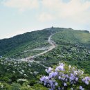지리산학고을펜션