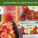 별빛촌 성재농장 이미지