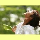 Lemon Tree / Fool's Garden &amp; 박혜경 이미지