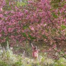 연기면_원수산MTB공원 이미지