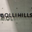 몰리힐스(MOLLI HILLS) 이미지