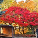 원미공원 이미지