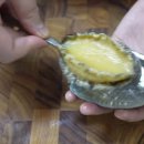 진도기업 | 송가인도 반한 진도힘쎈전복 후기