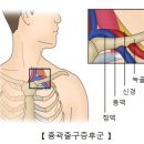 부산더리햅