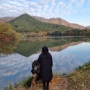 육보숯불갈비 이미지