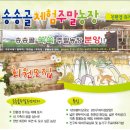 세일농장 이미지