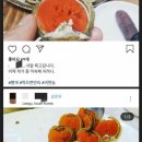 대게드림 이미지