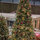 낙동강변로4-37 | 출생신고서 뽑으러 가는 김에 강릉 당일치기 (최일순 3시간 웨이팅;