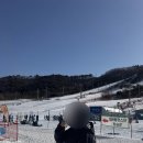 지산목장 | 알펜시아 리조트 홀리데이인, 평창 삼양목장