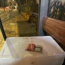 농수산물도매시장(수협공판장) | 구리 농수산물 도매시장 충무수산에서 제철 굴찜 포장 해왔어요