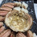 주문진 수산시장 화동문어에서 제철 대게 털게 내돈내산 후기