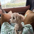 폴리파크태안점 이미지