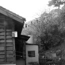 용호농장 이미지