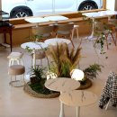 건이네 파충류 이미지