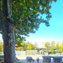 마로니에공원 화장실 이미지