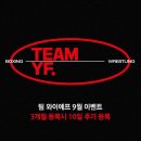 팀와이에프 이미지