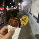 그냥 누워있었습니다!