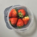 경운사(하) | 2026. 3월