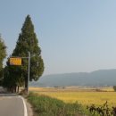 본량중학교 이미지