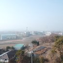 그린(224) 이미지