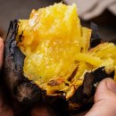 베니실제 | 해남 꿀 고구마 베니하루카 리뷰