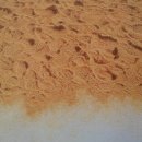 sand play  이미지