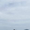 유승푸드