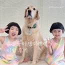 오아유 | 머리 싹둑, 이발 단골 미용실 후기