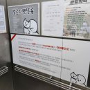 멜로디펫살롱 이미지