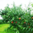 동기농장 이미지