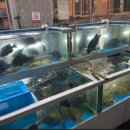 해물천국 이미지