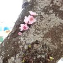 욕지면사무소 이미지