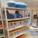 대구세탁소 이미지