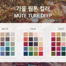 (주) 트루컬러