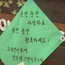 엑시트갤러리 | 하루 이틀 그 다음은