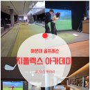 지플렉스스크린골프 | 나 7번 아이언 어떻게 쳤더라? 기억 잃은 골퍼의 지플렉스 해운대 골프레슨 후기