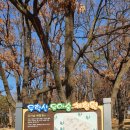 무학숲도서관 이미지