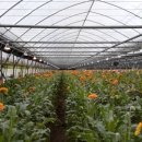 상서농장 이미지