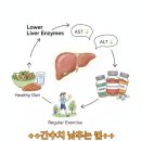 (주)골드레몬 | 간수치 낮추는 법 4가지｜ALT AST 운동·영양제 내돈내산 ·레몬즙 3개월 후기