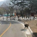 쌍백면사무소 이미지