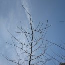 하늘농장4 이미지