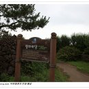 무병장수테마파크