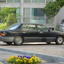 다이너스티 이미지