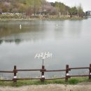 애련정로136번길 이미지