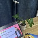 중국어 첫걸음(왕초보반) | 중국어인강 맛있는 스쿨 맛있는 중국어 Level1 첫걸음 후기