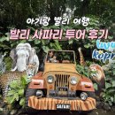 마린파크 동물병원 | 아기랑 발리 여행 사파리 마린파크 내돈내산 후기 애니멀쇼 공연 동선