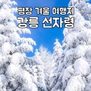 152차 정기산행 선자령 이미지